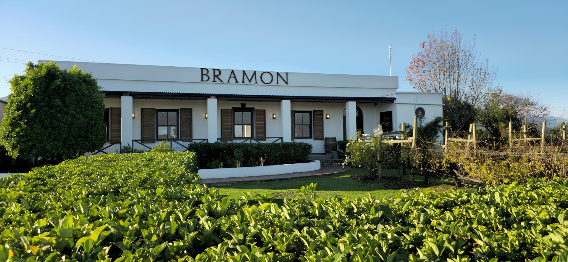 The whitewashed Bramon tasting room beside its vineyard rows